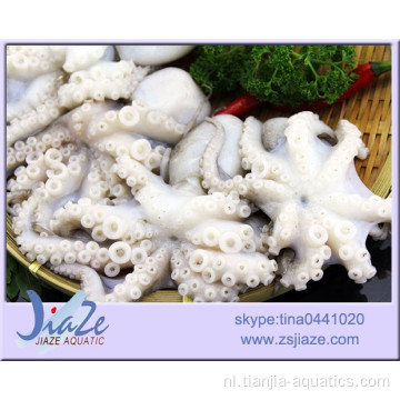 bevroren zeevruchten octopus IQF